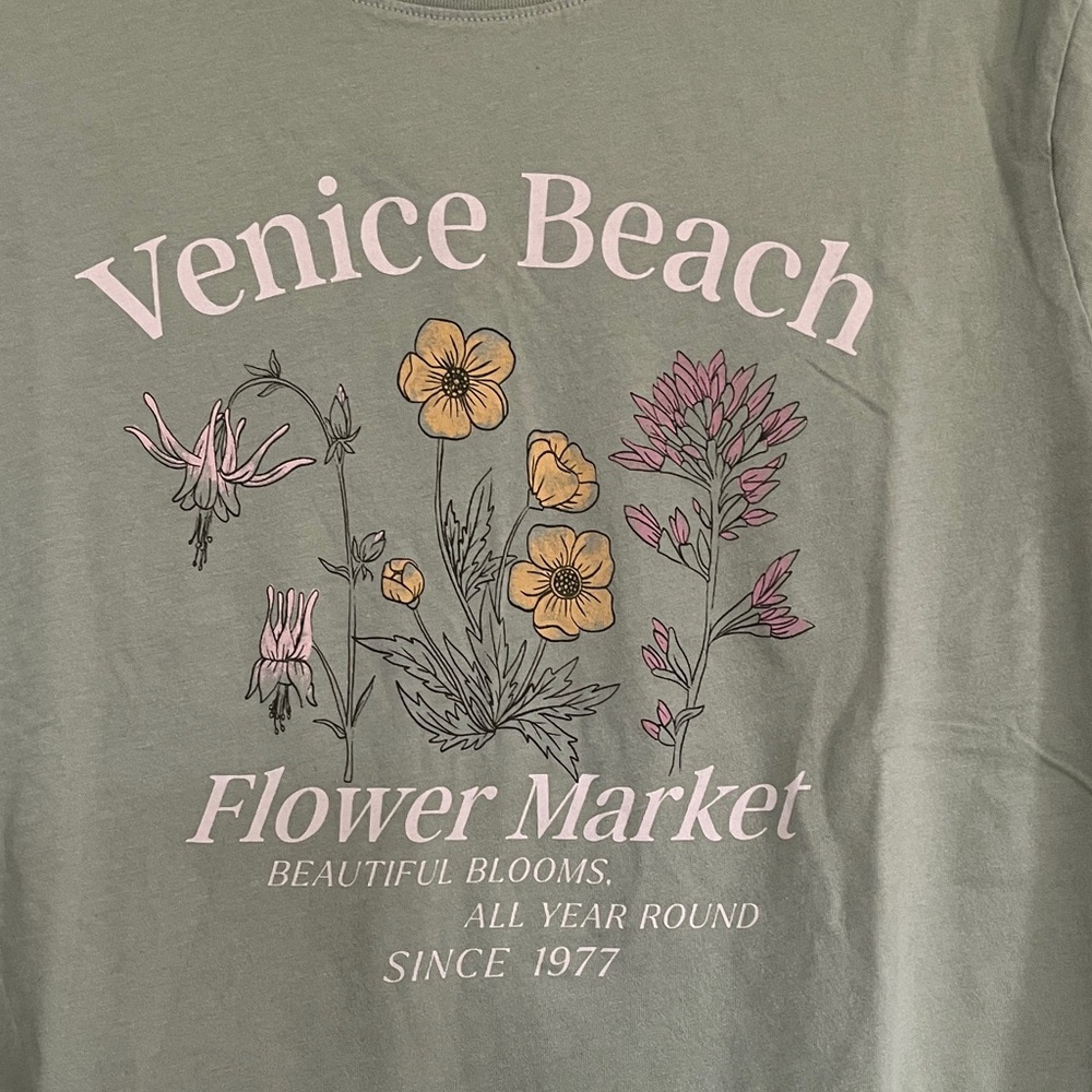 American Eagle Sage Green Graphic Tee with Cream Print